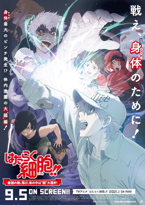 Cells at Work! to Get Live Action Film!, Anime News
