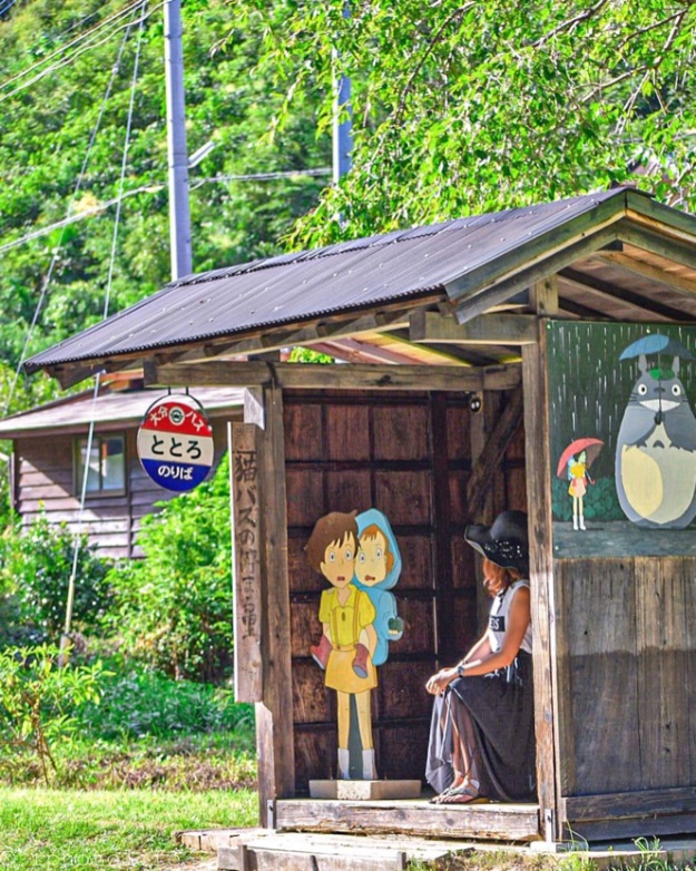 となりのトトロフォトスポットMy Neighbor Totoro Photo spots龍貓_3