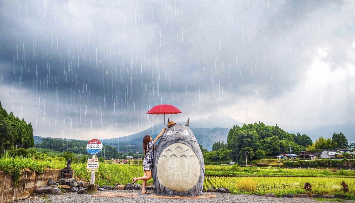 となりのトトロフォトスポットMy-Neighbor-Totoro-Photo-spots龍貓_