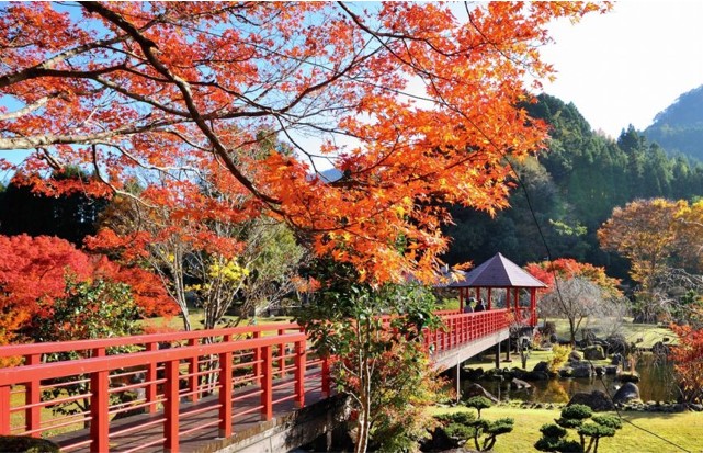 紅葉絶景スポット　6選 大分県 Autumn leaves scenery spots in Oita prefecture 大分県的紅葉絶景