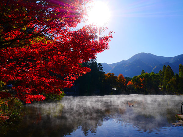 紅葉絶景スポット　6選 大分県 Autumn leaves scenery spots in Oita prefecture 大分県的紅葉絶景1