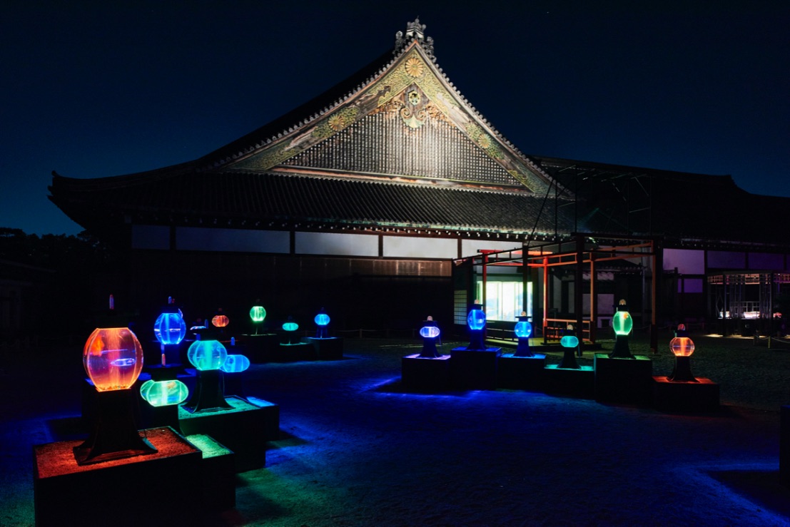 アートアクアリウム 二条城 Art Aquarium Kyoto 水族館在京都_5