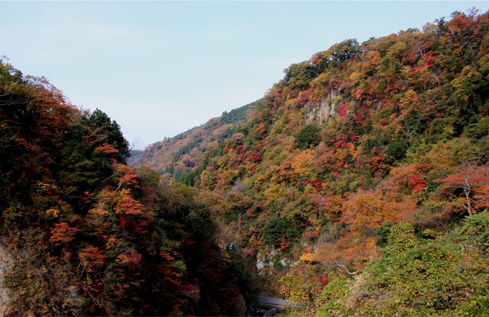 紅葉絶景スポット　6選 大分県 Autumn leaves scenery spots in Oita prefecture 大分県的紅葉絶景2