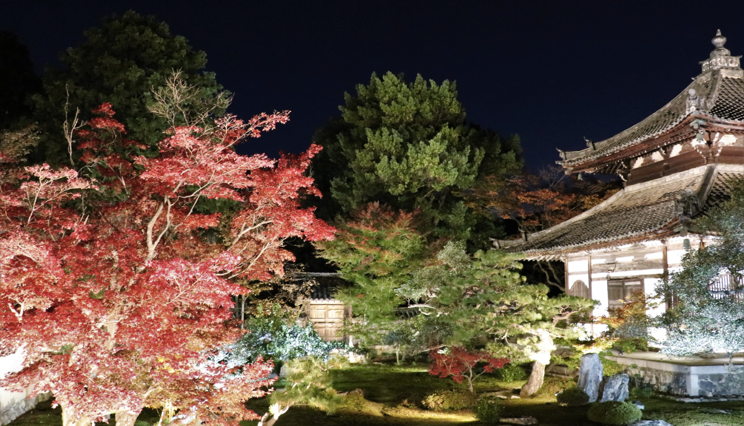 鹿王院-ライトアップ-Rokuo-in-Temple-light-up-光雕投影