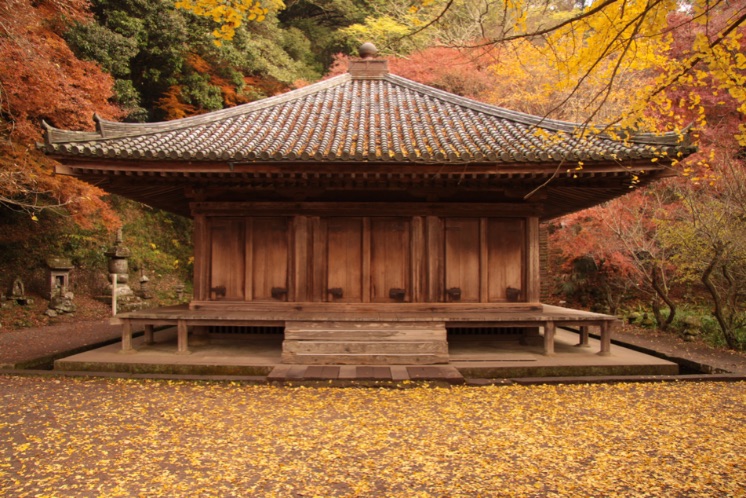 紅葉絶景スポット　6選 大分県 Autumn leaves scenery spots in Oita prefecture 大分県的紅葉絶景4