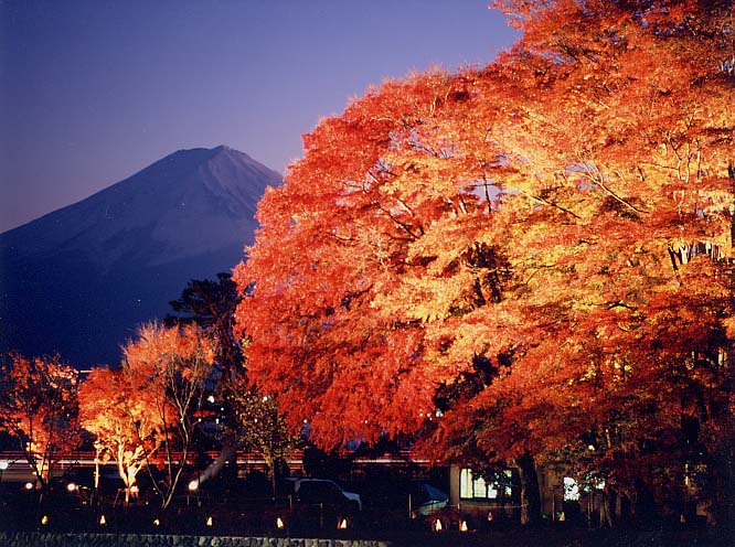 第22回 富士河口湖紅葉まつり Autumn Leaves Yamanashi 日本旅行 1
