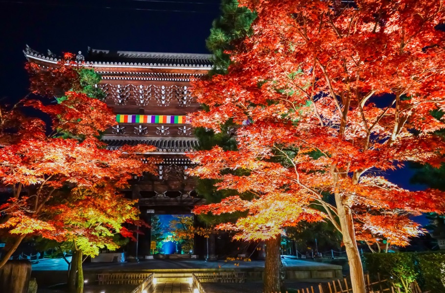 金戒光明寺 イルミネーション京都 光雕投影 Kyoto Konkai-Komyoji temple illumination 2