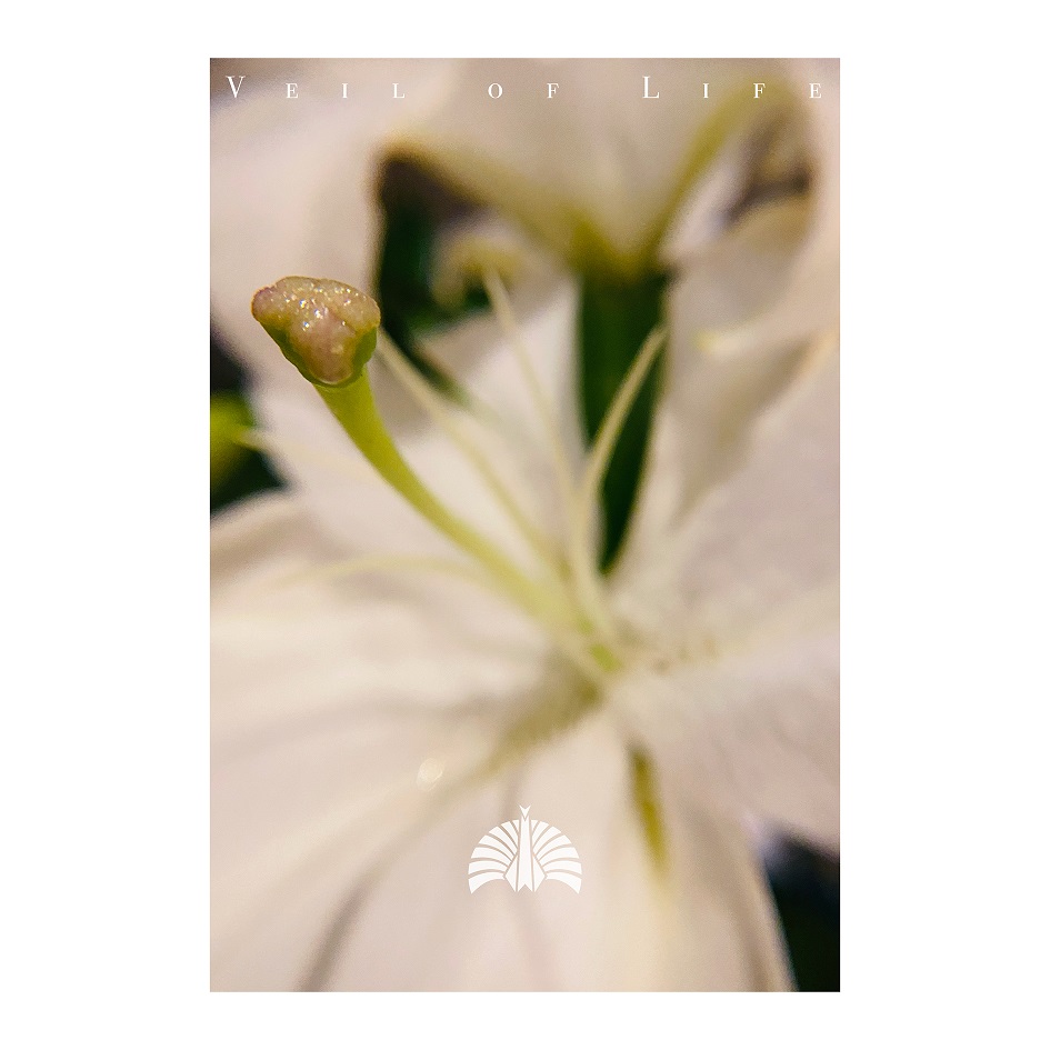 東京事変 書き下ろしの新曲 命の帳 いのちのとばり がドラマ主題歌に決定 Moshi Moshi Nippon もしもしにっぽん 東京事変 書き下ろしの新曲 命の帳 いのちのとばり がドラマ主題歌に決定 Moshi Moshi Nippon もしもしにっぽん