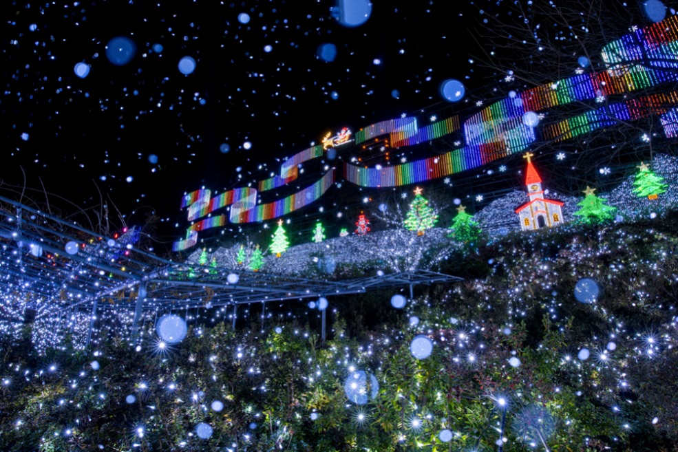 栃木県あしかがフラワーパーク イルミネーション 光雕投影 Tochigi illumination16