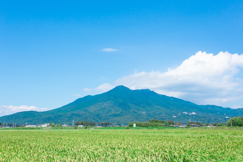 「筑波山」「霞ヶ浦」ツアー Mount Tsukuba Kasumigaura Bay tour 日本旅行6