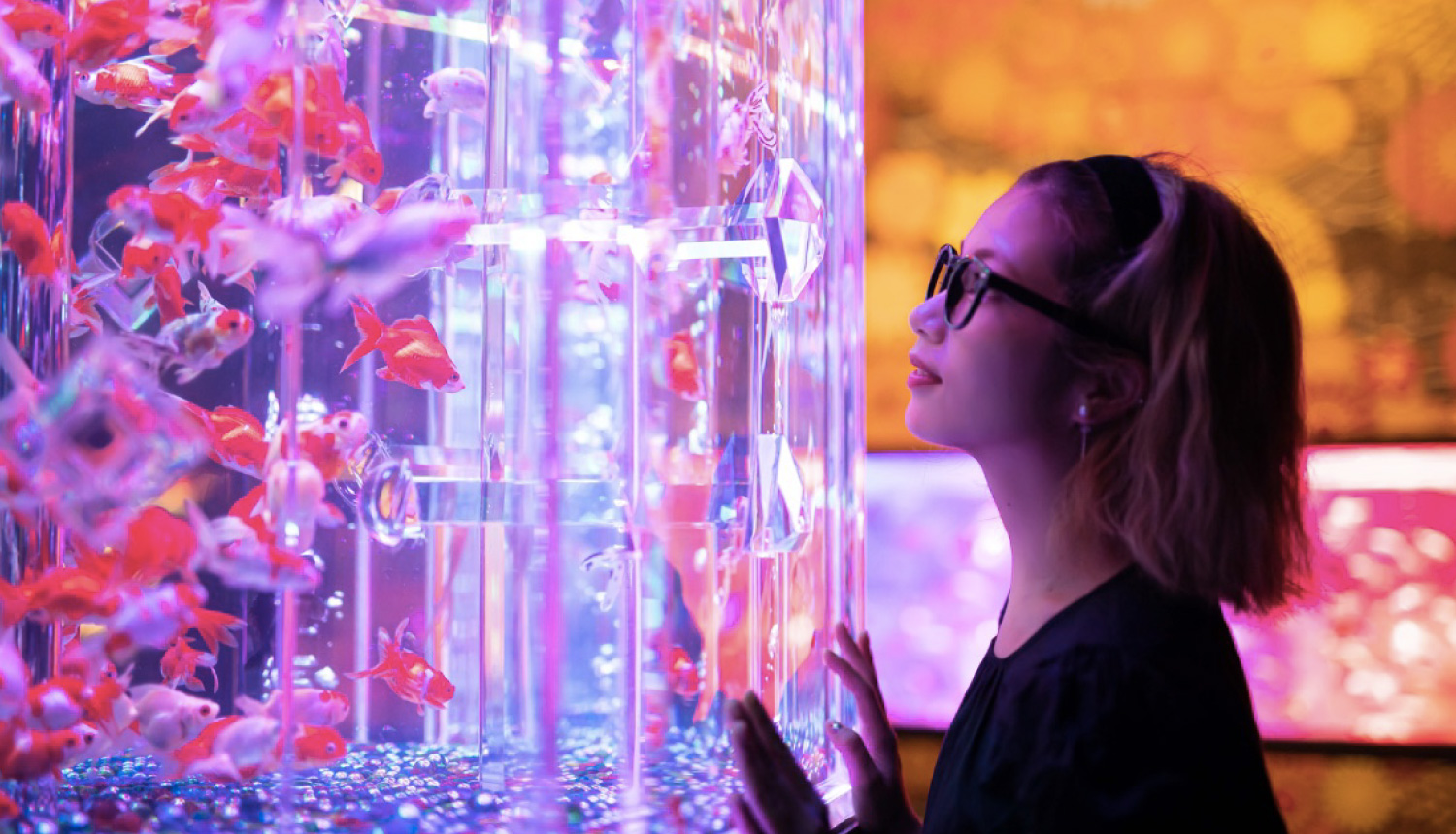 アートアクアリウム-日本橋美術館-Art-Aquarium-1