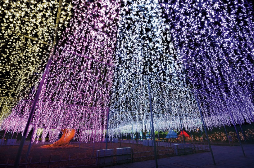 栃木県あしかがフラワーパーク イルミネーション 光雕投影 Tochigi illumination8