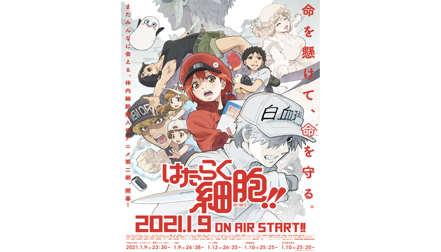 Cells at Work! to Get Live Action Film!, Anime News