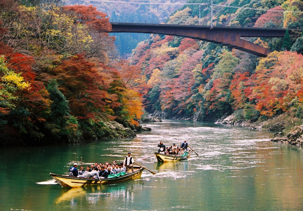 京都 紅葉 Kyoto Autumn Leaves 京都旅行4