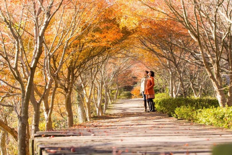 伊豆の国パノラマパーク Izunokuni Panorama Park 日本旅行