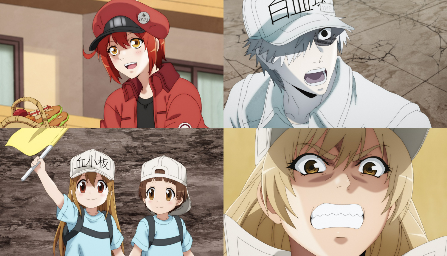 Cells At Work! Anime Gets a New Trailer & Visual - Anime Feminist