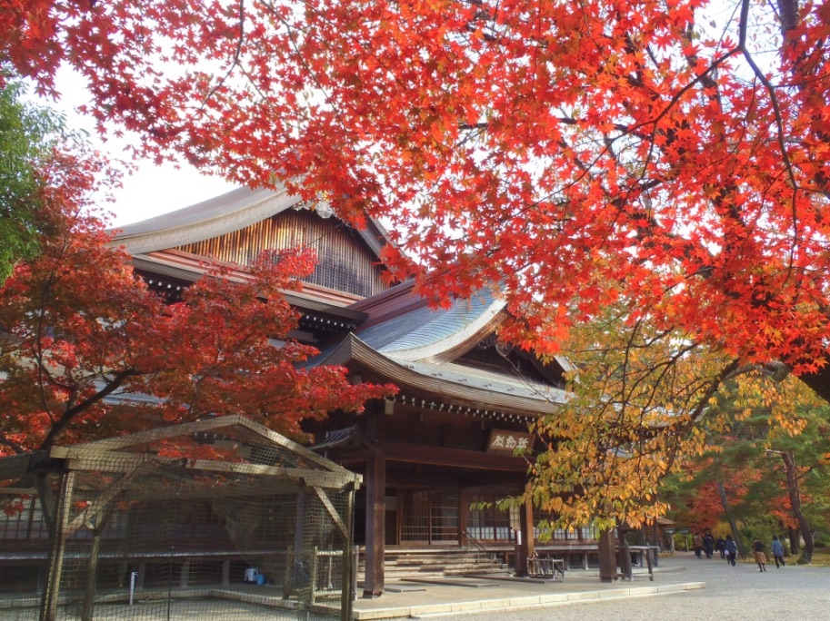 京都 紅葉 Kyoto Autumn Leaves 京都旅行1