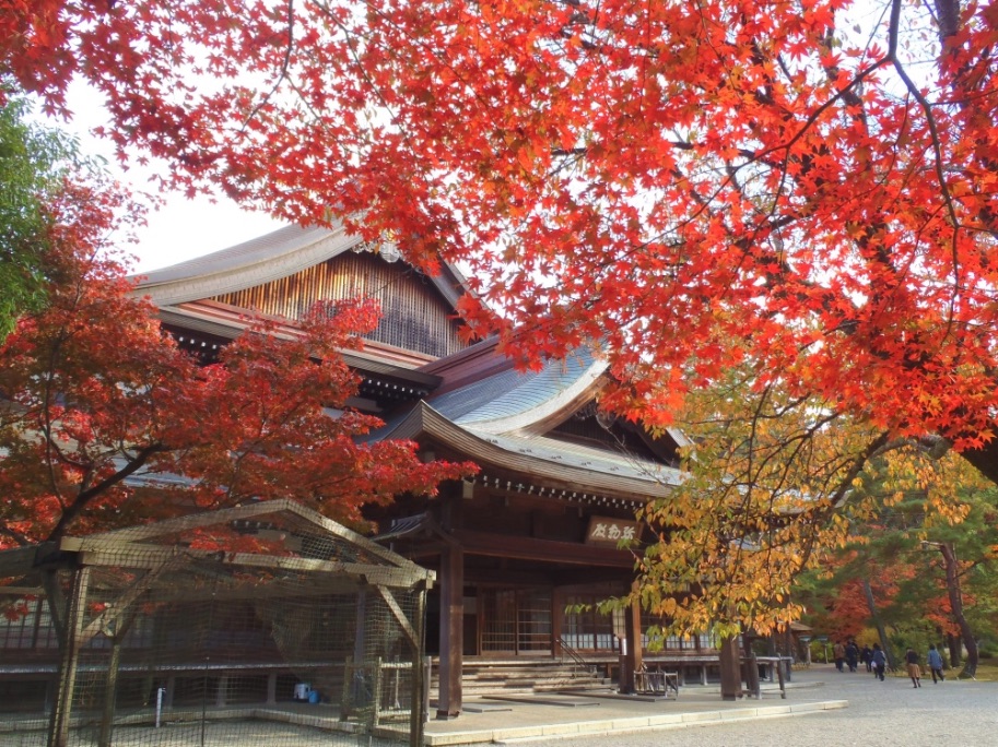 %e4%ba%ac%e9%83%bd-%e7%b4%85%e8%91%89-kyoto-autumn-leaves-%e4%ba%ac%e9%83%bd%e6%97%85%e8%a1%8c1-2