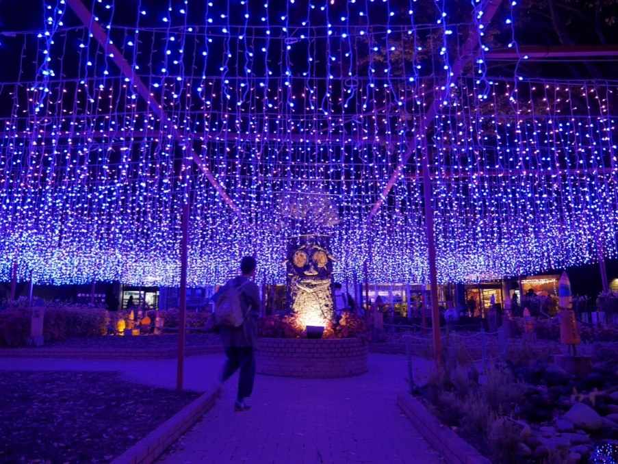 国営武蔵丘陵森林公園　ライトアップ Saitama illumination 在埼玉光雕投影3