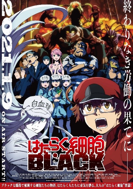 Cells at Work! to Air New Episode on Dec. 27!, Anime News