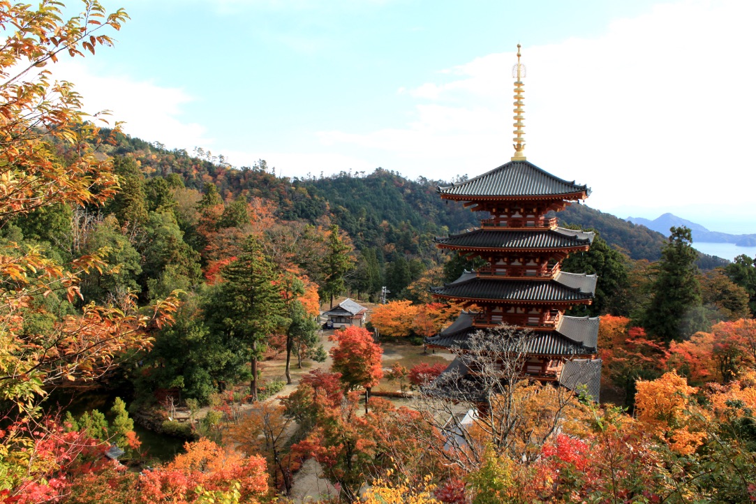 京都 紅葉 Kyoto Autumn Leaves 京都旅行2