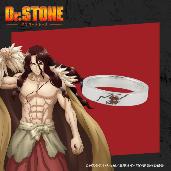 Dr.STONE ドクターストーン アクセサリー9