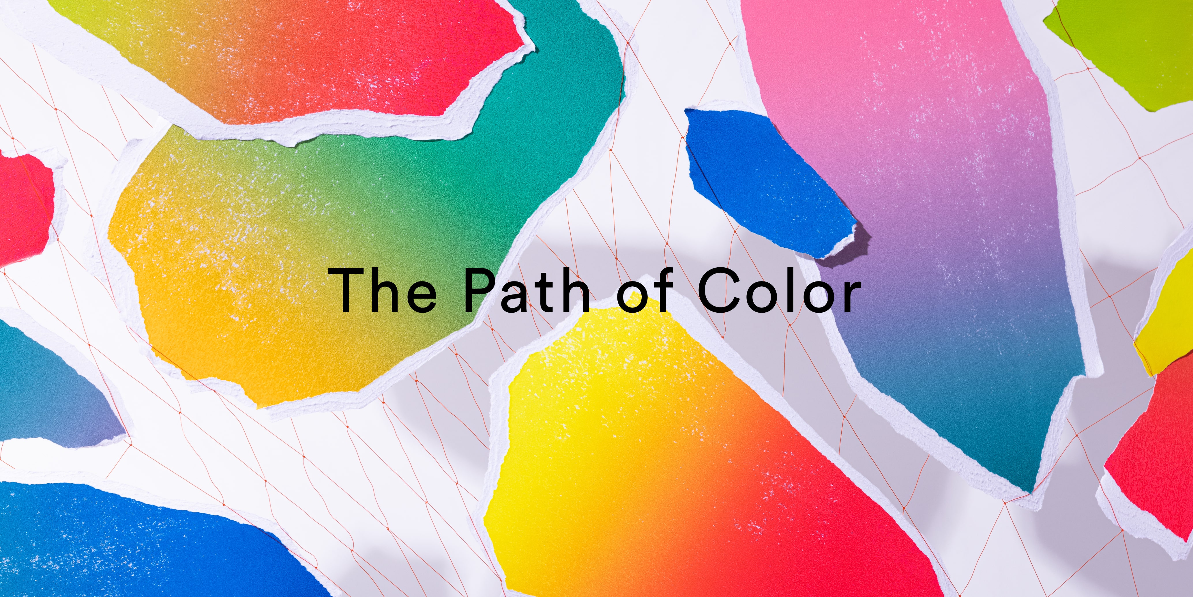 クリエイティブ・ユニット SPREADとコラボレーションした空間インスタレーション『The Path of Color』 (2)