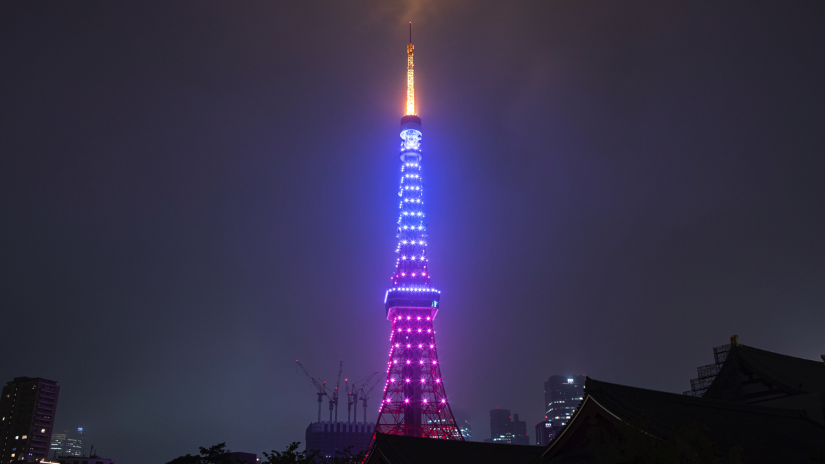 08_tokyotower_yoko copy