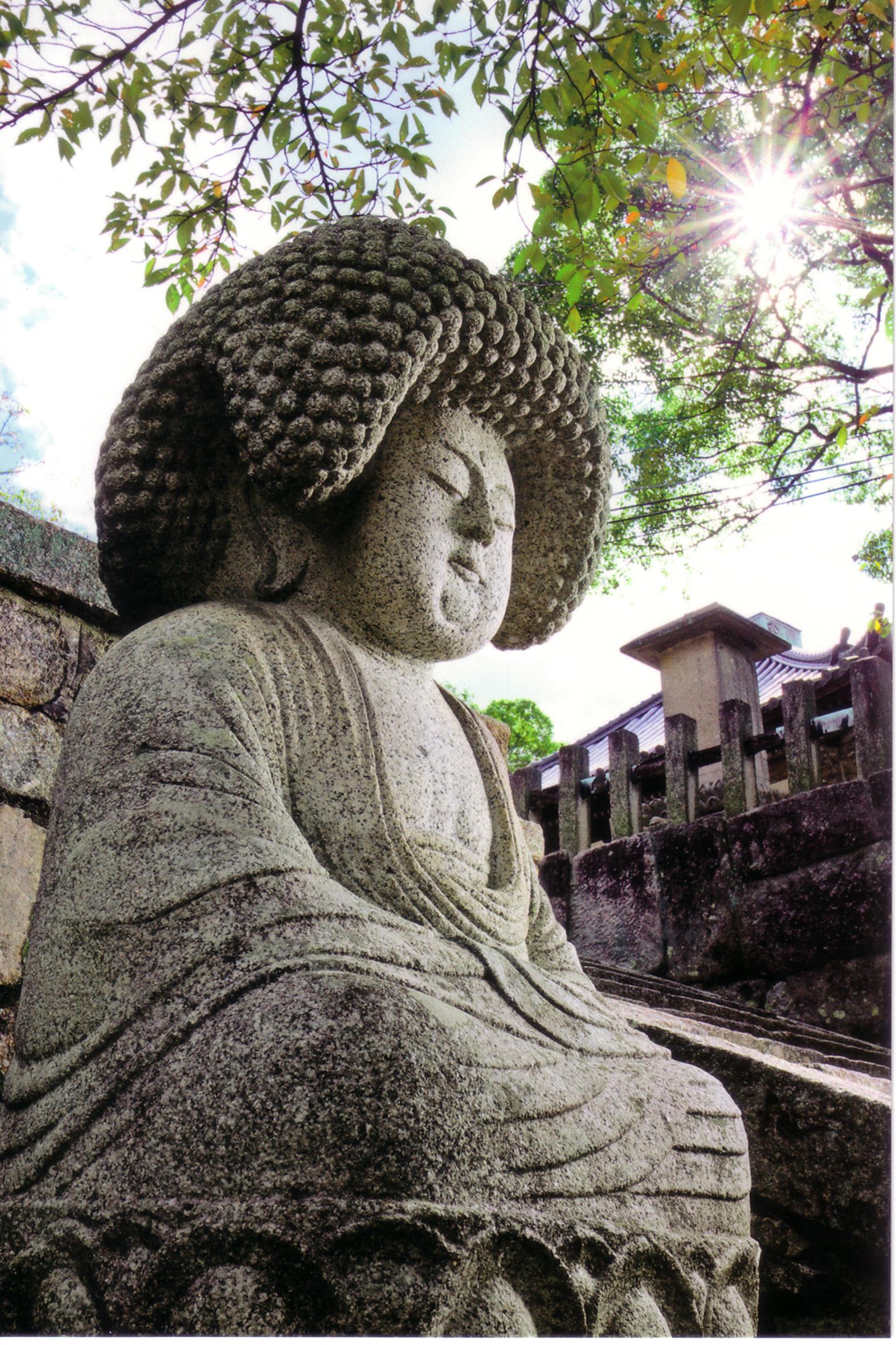 通常非公開の京都・くろ谷　金戒光明寺 秋の特別拝観を開催11
