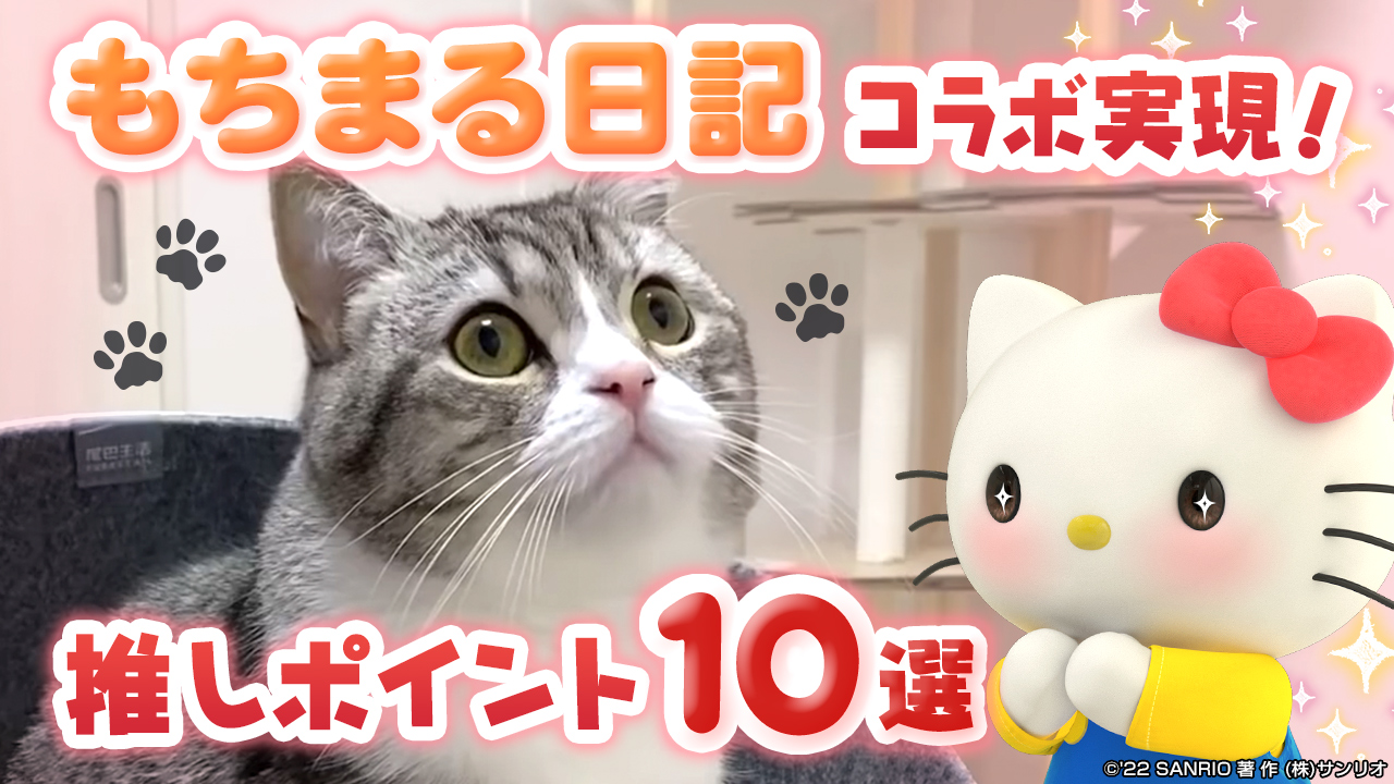 Hello Kitty Releases Collaboration Video with YouTube's Most-Watched Cat  Mochimaru | MOSHI MOSHI NIPPON | もしもしにっぽん