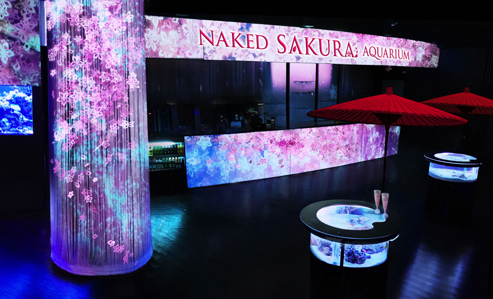 naked-sakura-aquarium4-copy-2