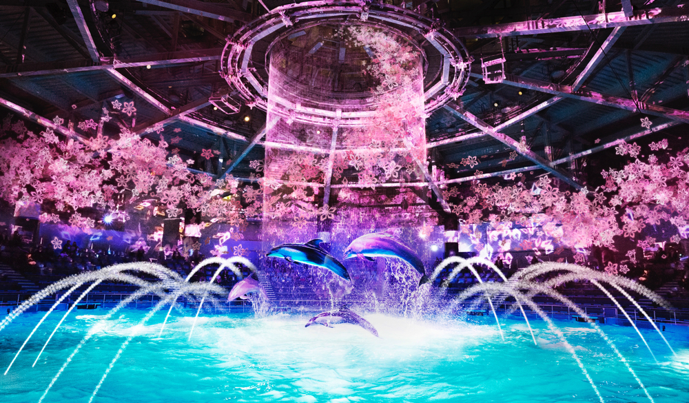 naked-sakura-aquarium6-copy