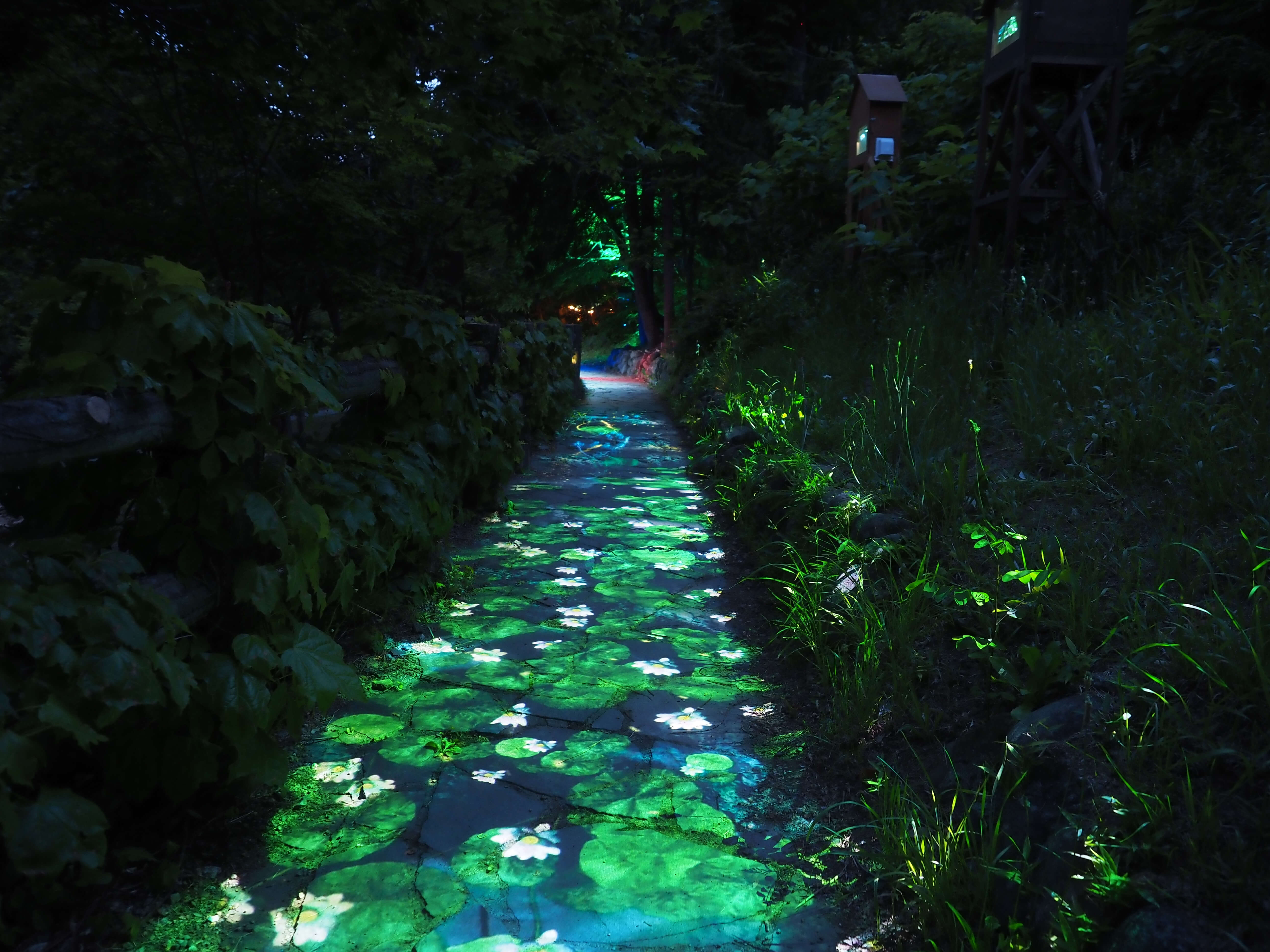 JOZANKEI NATURE LUMINARIE-WATER LIGHT VALLEY-6