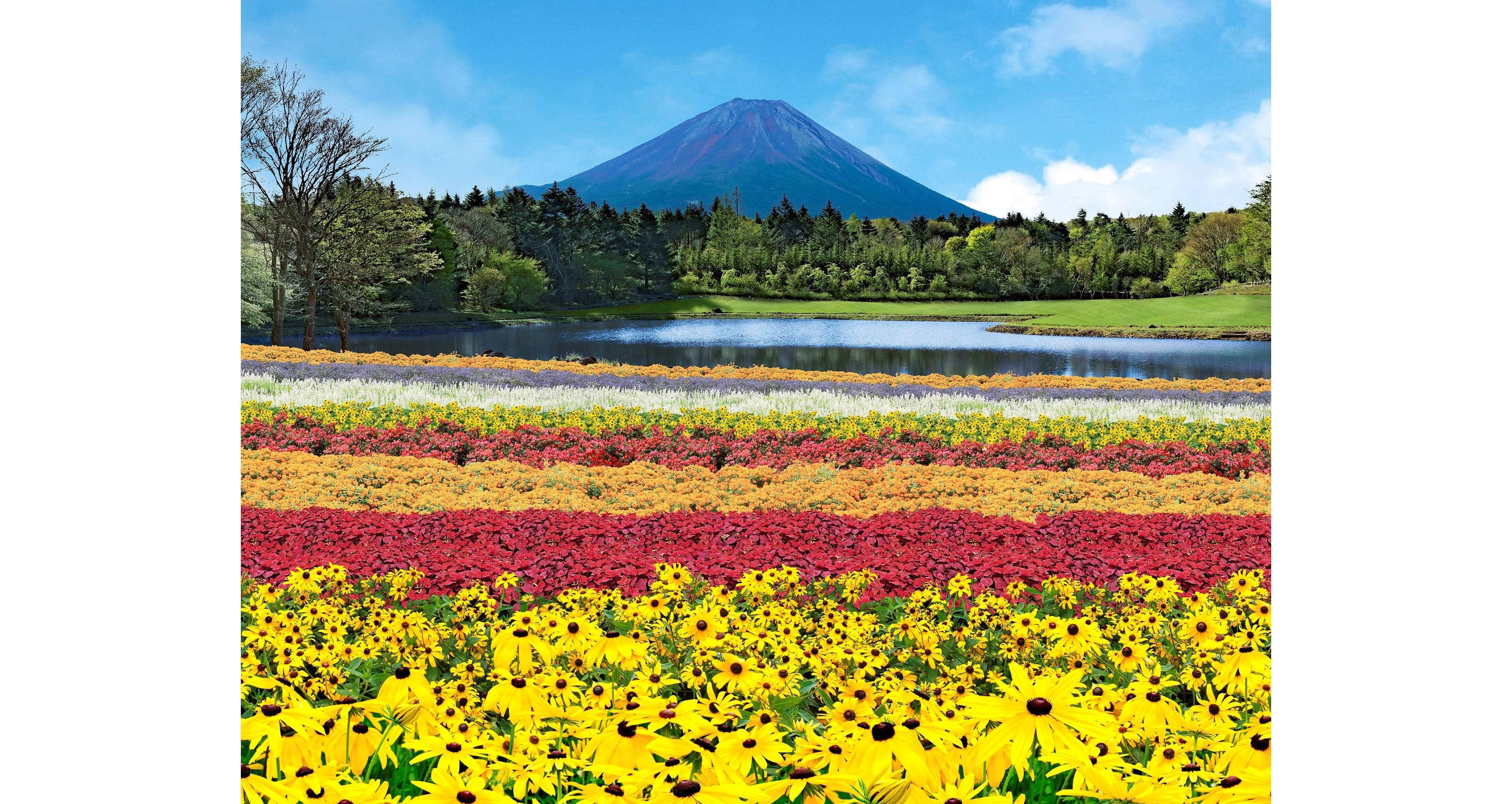 虹の花まつり　富士本栖湖リゾート1