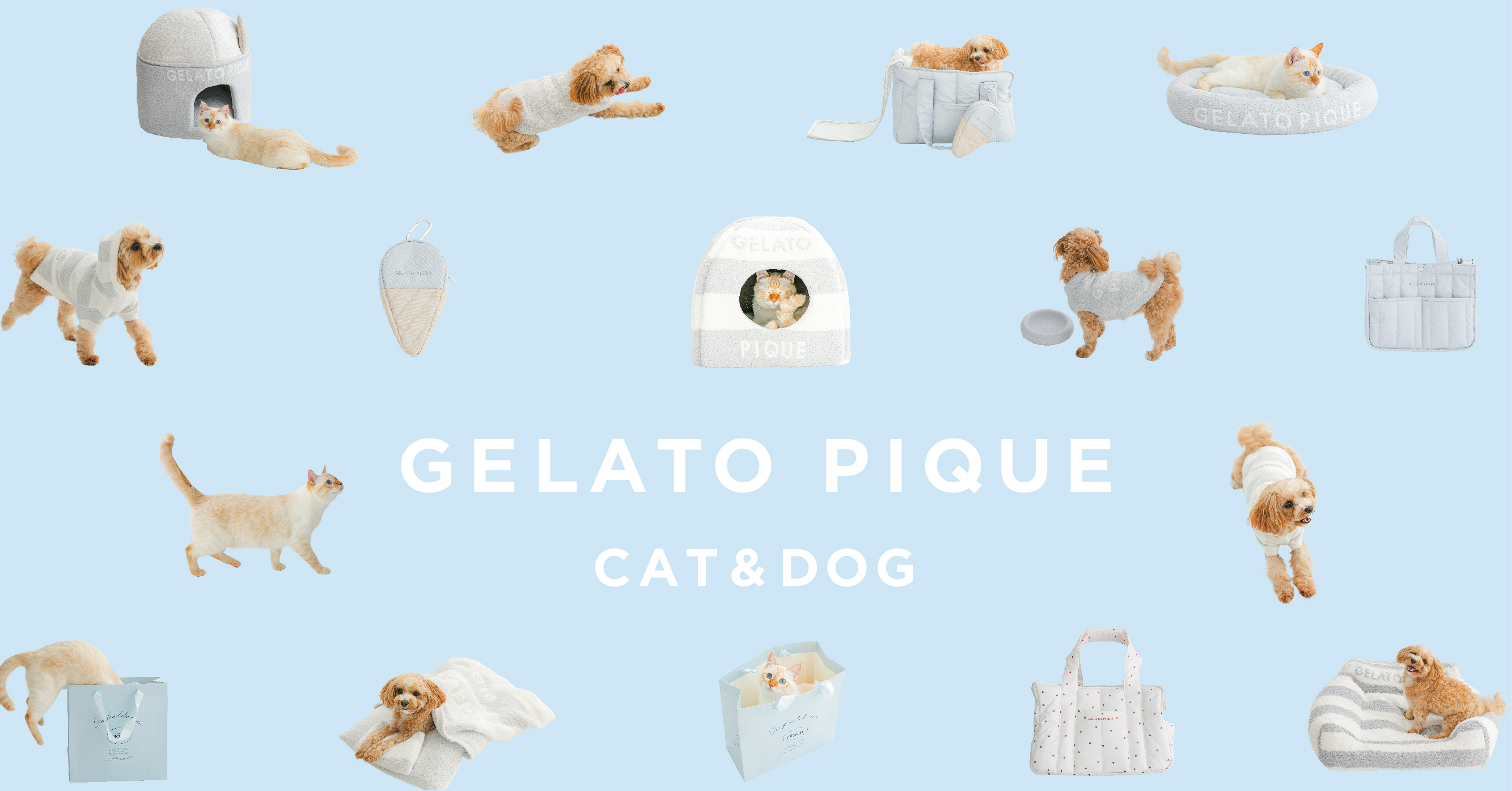 GELATO PIQUE CAT&DOG1