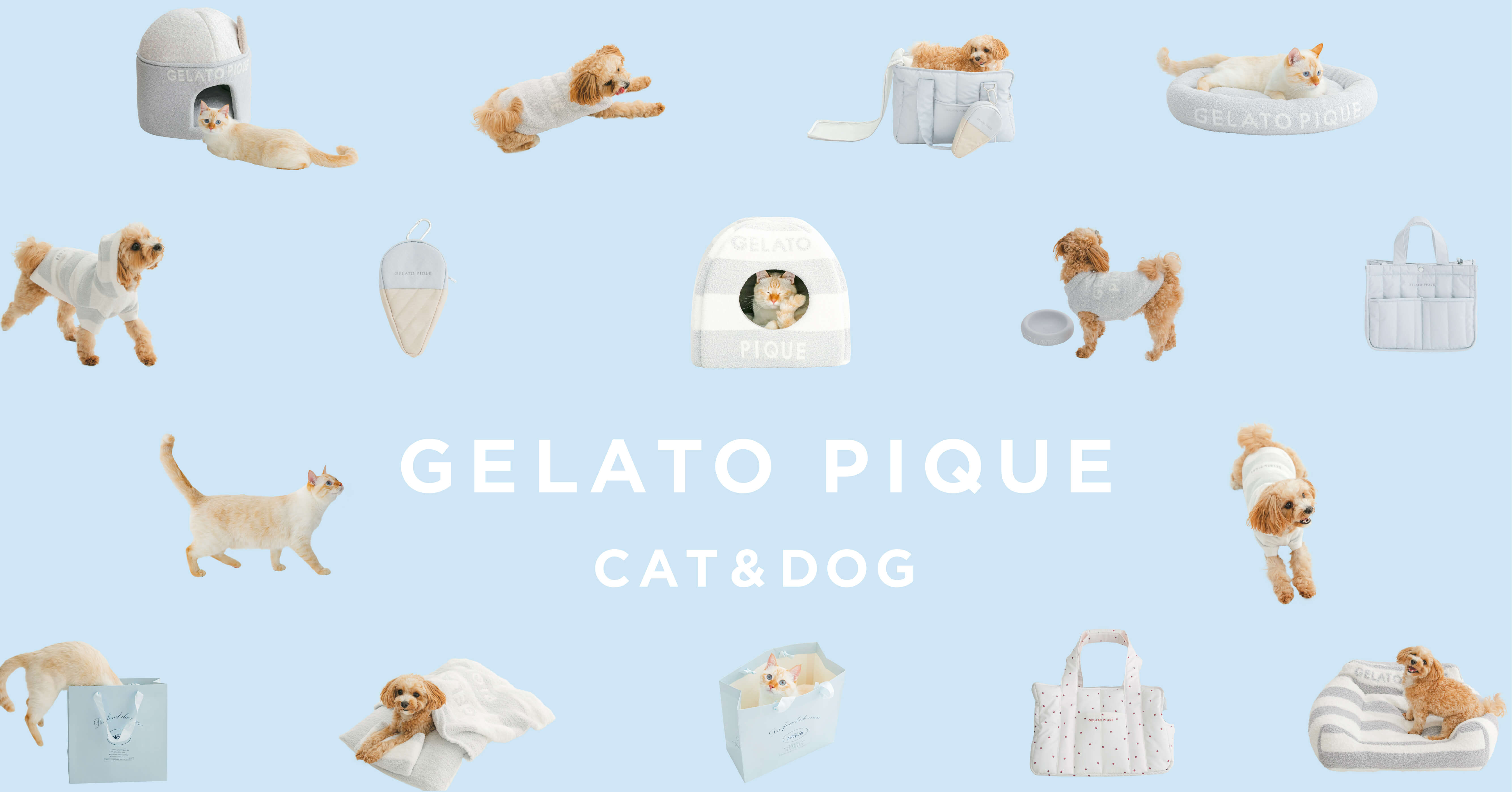 GELATO PIQUE CAT&DOG7