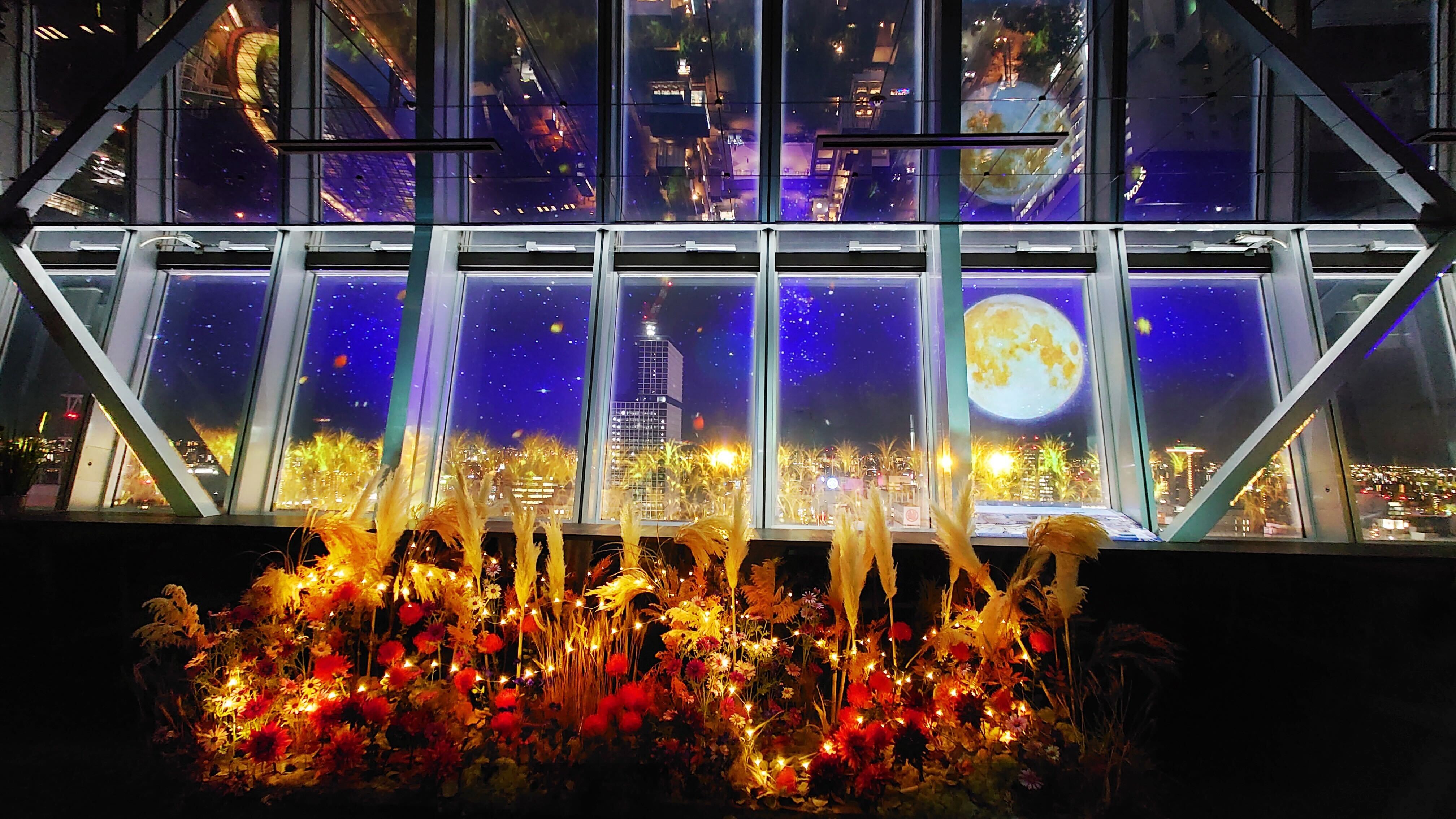 ネイキッド、名古屋の夜景とお月見を彩る「NAKED FLOWER TOWER AUTUMN